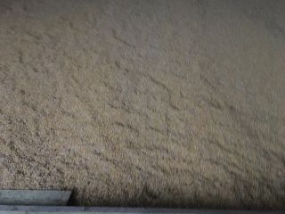 Vendo maíz de producción 2020, cantidad 100 t área