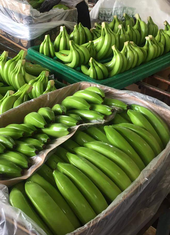 Vendemos bananas y diferentes tipos de frutas para más consultas contactar