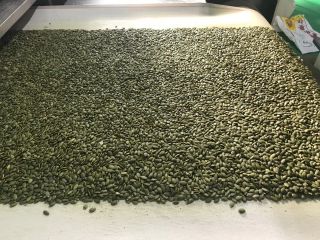 Venta de pepitas de calabaza, origen China, pago LC