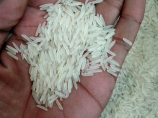 1121 Sella Basmati Arroz Premium de Grano Largo Embalaje: