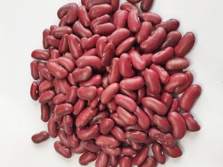 Frijoles mungo verde de cosecha fresca, frijoles rojos para