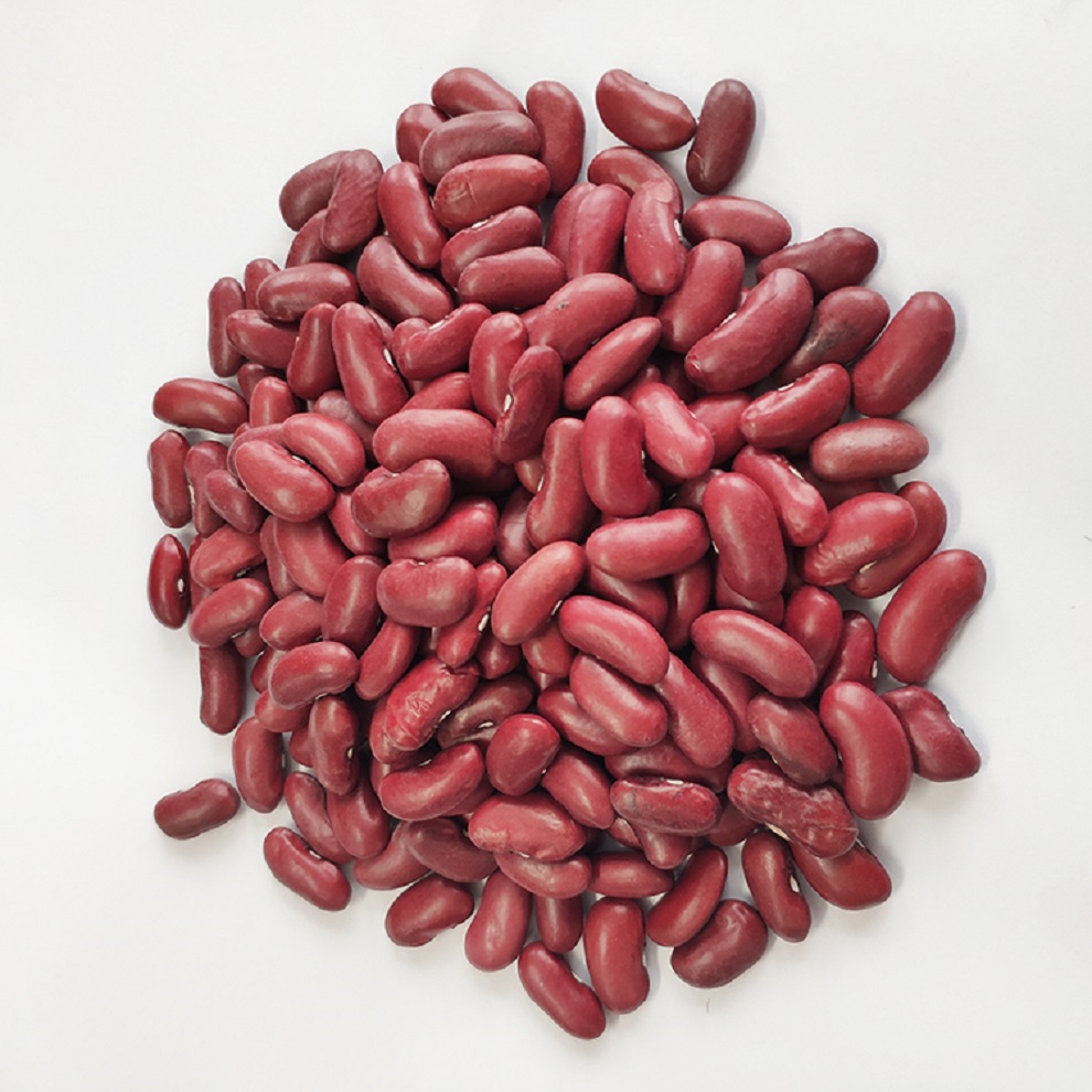 Frijoles mungo verde de cosecha fresca, frijoles rojos para exportación llame y whatsapp us