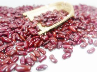 Frijoles mungo verde de cosecha fresca, frijoles rojos para