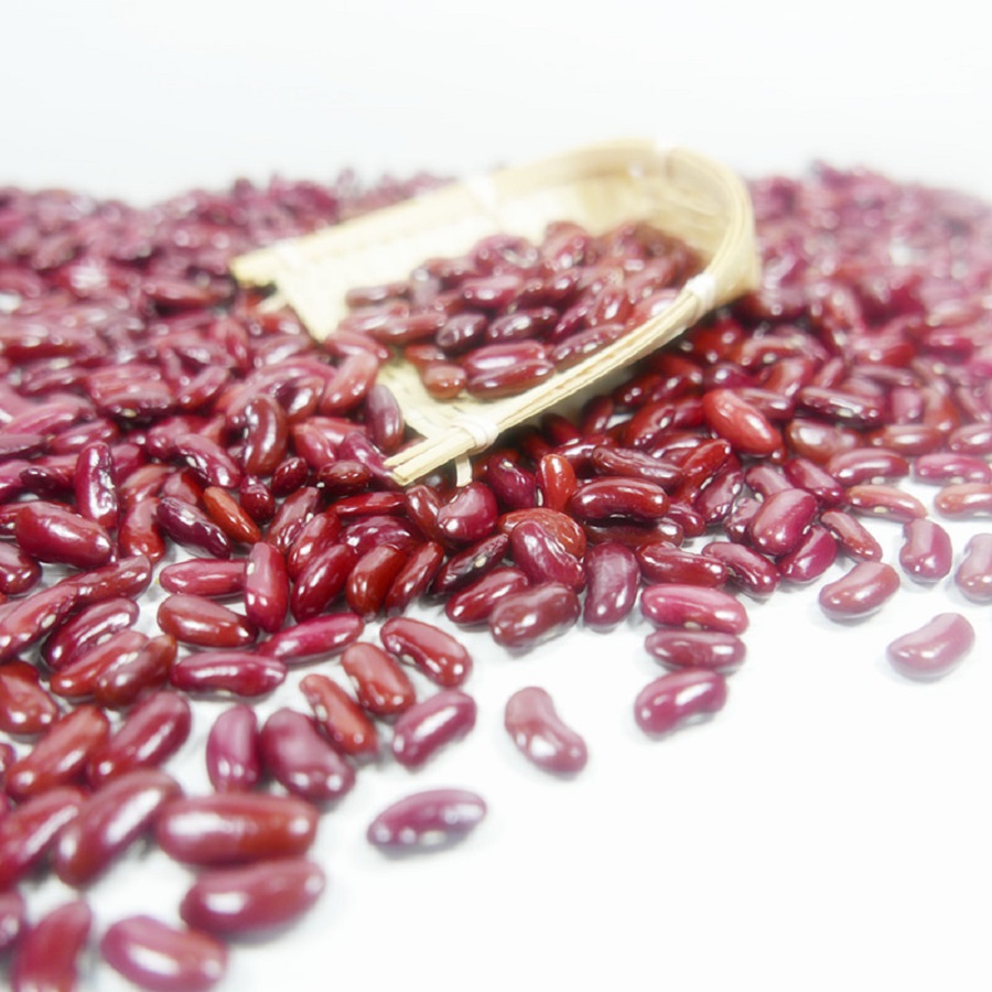 Frijoles mungo verde de cosecha fresca, frijoles rojos para exportación llame y whatsapp us