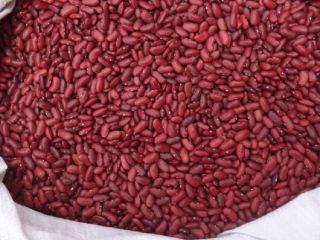 Frijoles mungo verde de cosecha fresca, frijoles rojos para