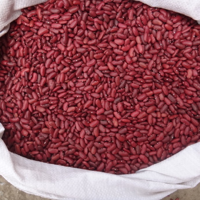 Frijoles mungo verde de cosecha fresca, frijoles rojos para exportación llame y whatsapp us