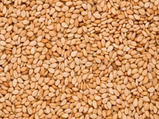 Estos son los 15 beneficios para la salud y