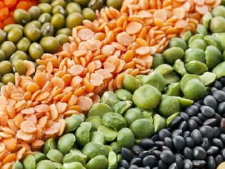 Nombre: Lentejas verdes y rojas Variedad: Lentejas verdes y