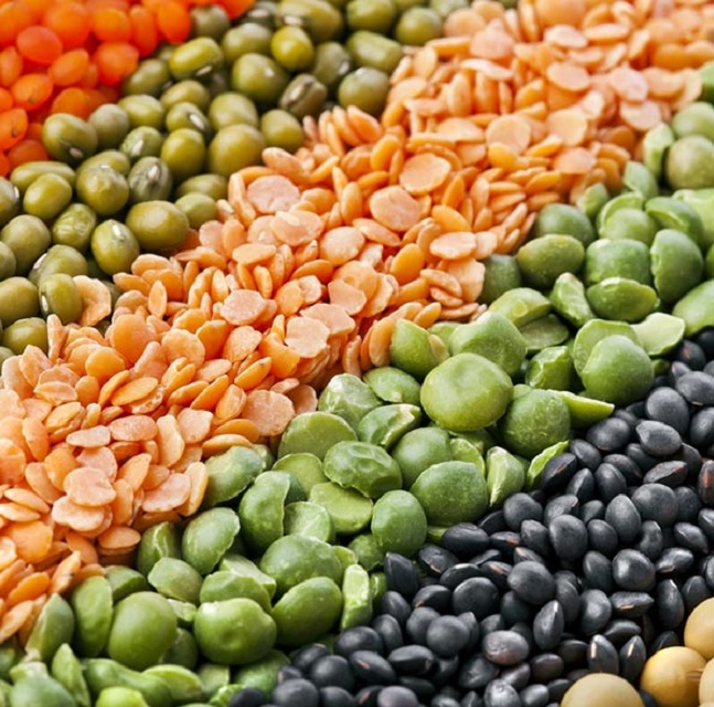 Nombre: Lentejas verdes y rojas Variedad: Lentejas verdes y rojas Especificación: Humedad ≤14% Impureza ≤0.5% Imperfecto ≤2% Tamaño 3.0-5.0mm Pureza: 99.5% por