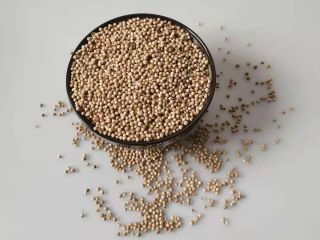 El cilantro es una hierba curativa ayurvédica; también se