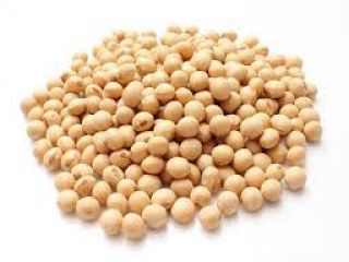 Ucrania ha cultivado soja desde la antigüedad. La soja