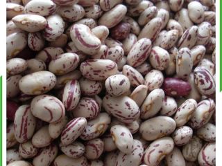 VENTA DE FRIJOLES NUEVOS DE CALIDAD TENEMOS LOS SIGUIENTES