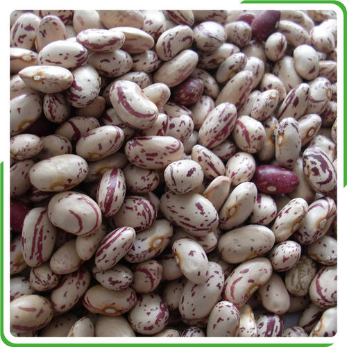 VENTA DE FRIJOLES NUEVOS DE CALIDAD TENEMOS LOS SIGUIENTES DISPONIBLES Y LISTOS PARA LA EXPORTACIÓN; Frijoles rojos, frijoles negros, garbanzos desi, frijoles