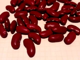 Venta de frijoles, variedad americana, cultivados en Ucrania, del