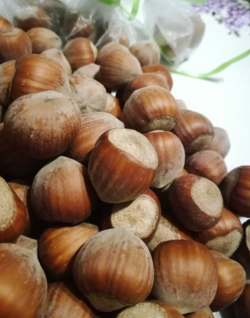 Venderé avellanas catalanas de una plantación joven