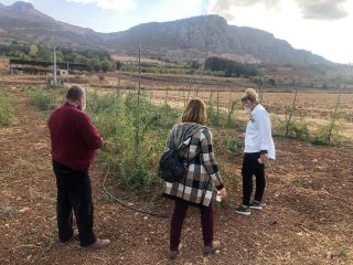 Esperando certificado de producto ecológico. Podemos comunicarnos a través