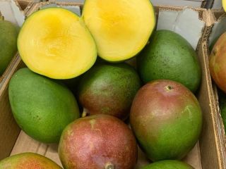 Hola, tengo un mango de segunda clase a la