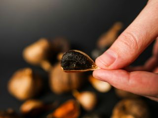 Vendemos ajo negro (fermentado) al por menor y al