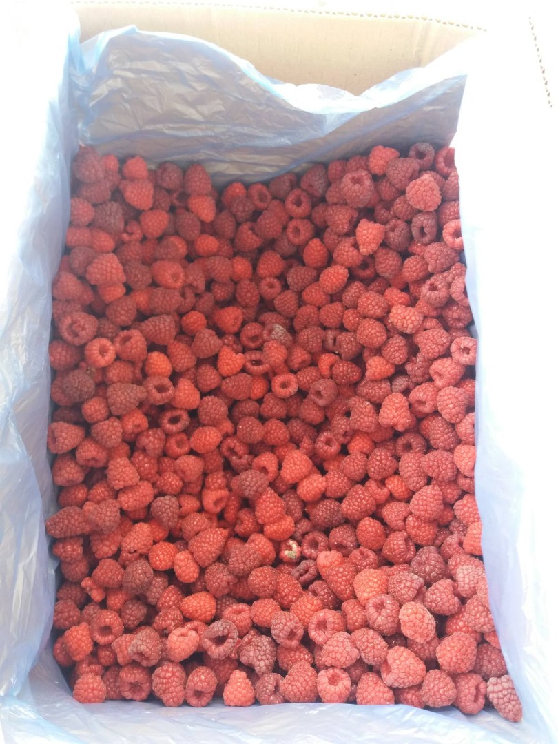 Frambuesa congelada 80/20 (rolend), envase 12kg