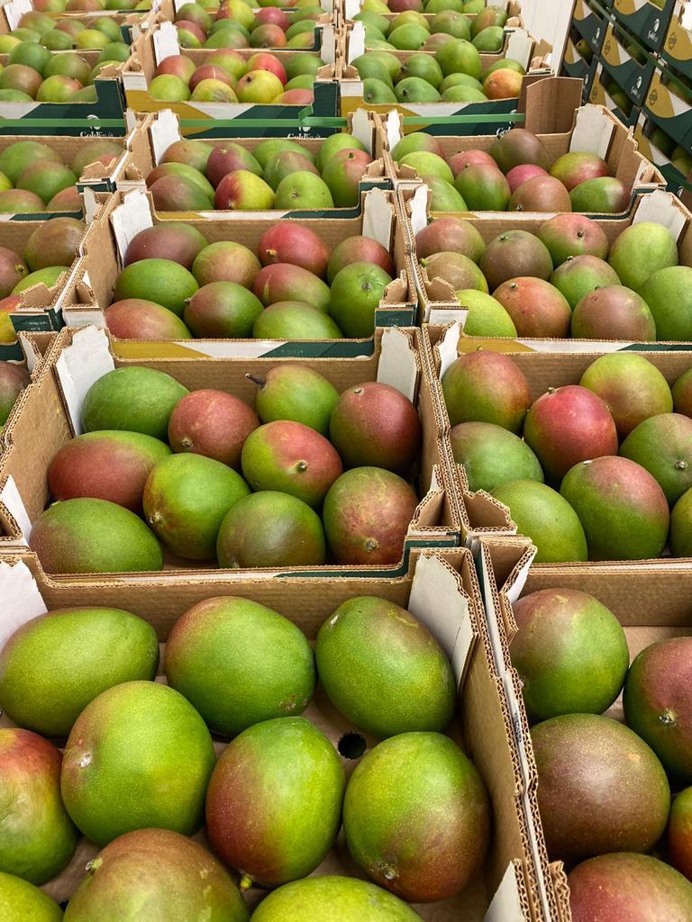 Hola, tengo un mango de segunda clase a la venta por la empresa brasileña Suemi y AgroDan