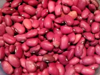 Ofrecemos frijoles cultivados en los campos del Valle de