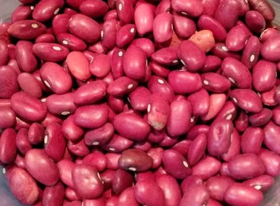 Ofrecemos frijoles cultivados en los campos del Valle de Talas (Kirguistán), que son considerados por los expertos agrícolas como el lugar perfecto para