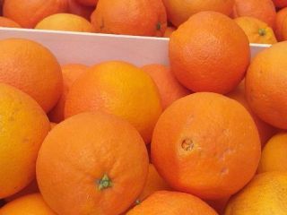 Venderé naranjas navelina 22 t precio por kg 4.30