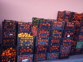 Naranjas de Grecia, 100% BIO Traídas recientemente de Grecia.