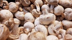 El hongo contiene una cantidad especialmente alta de vitamina B y potasio