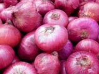 Cebolla roja de grado A, tamaño del paquete: 50