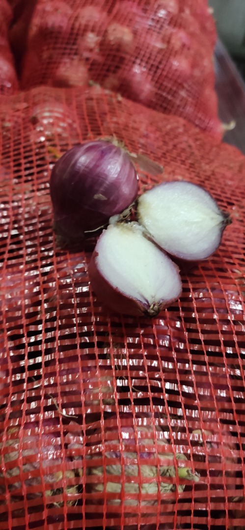 Cebollas frescas de MYANMAR Grado A Tamaño 3 a 5 cm