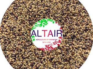 trébol rojo producto de exportación de alta calidad. Escríbanos