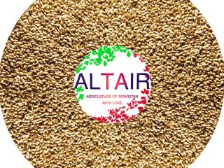 timothy Producto de alta calidad de exportación. Escríbanos por