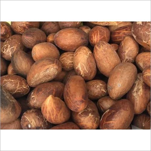 PRODUCTO: KOLA NUTS ORIGEN: CAMERÚN ESPECIFICACIÓN: Proteína bruta (N * 6,25) 8,06, Ceniza 2,55, Fibra bruta 2,18 Extracto de éter 0,98, extracto libre de