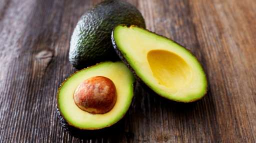 AGUACATE Todas las variedades disponibles