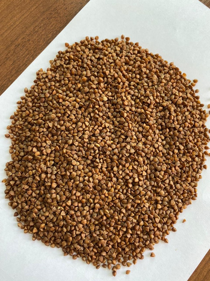 Granos de trigo sarraceno de Kazajstán