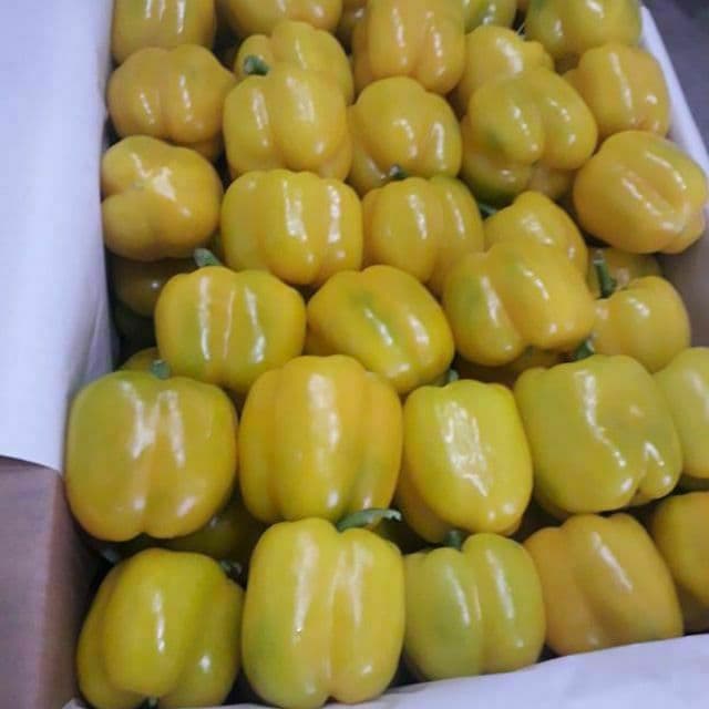MCM Distributors, como el mayor exportador de frutas y verduras, esperamos ser su socio a largo plazo