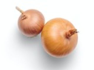 Hola, busco productores de cebolla sin biselar para cebollino.