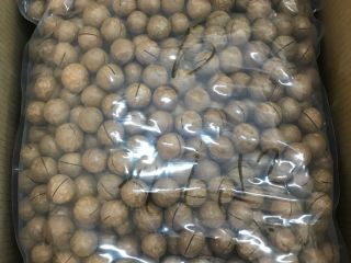 vendemos nueces de macadamia naturales sin procesar únicas en