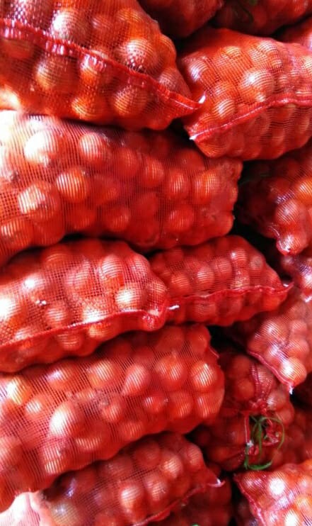 Cebolla de origen serbio, calibre 50+, embalaje previo acuerdo, 0% arancel aduanero a la UE
