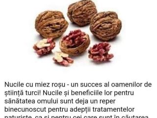 Vendo una nuez roja turca por un máximo de