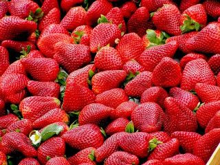 Venderé fresas a granel. País de origen: España, Marruecos.
