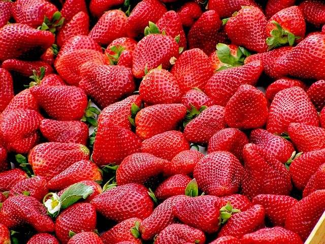 Venderé fresas a granel