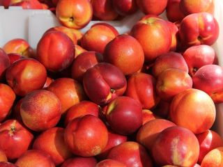 Venderé nectarinas a granel. País de origen: España, Marruecos,