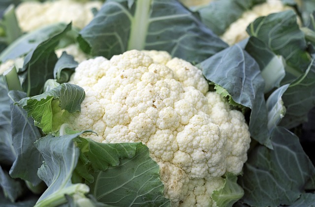 Venderé coliflor de España, cantidades al por mayor