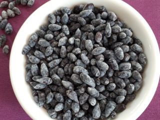 Frutas Haskap Berry congeladas y clasificadas. El precio depende