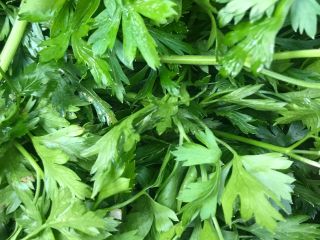 Venderé perejil, una hermosa hoja verde oscuro. Envasado: caja