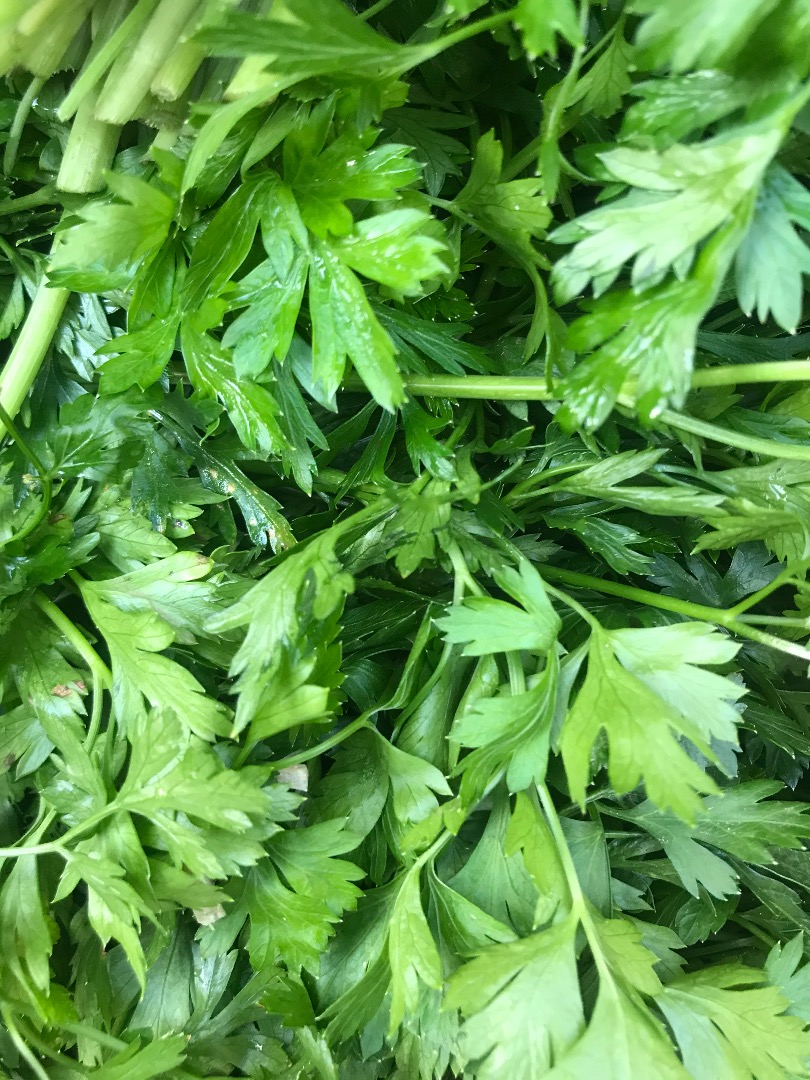 Venderé perejil, una hermosa hoja verde oscuro