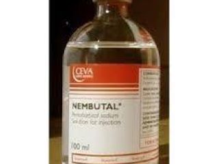 Compre Nembutal de alta calidad al mejor proveedor del