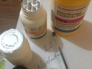 Vender Pentobarbital Sódico Nembutal Suministramos pentobarbital líquido y en